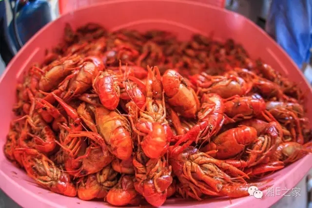 天嬌汽車文化節(jié)-一個(gè)可以吃喝玩樂的汽車節(jié)！