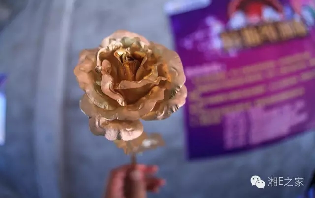 天嬌汽車文化節(jié)-一個(gè)可以吃喝玩樂的汽車節(jié)！