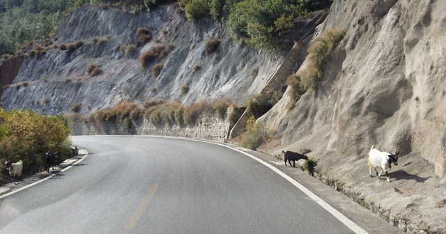 講真的，我碰到了20年后的我...