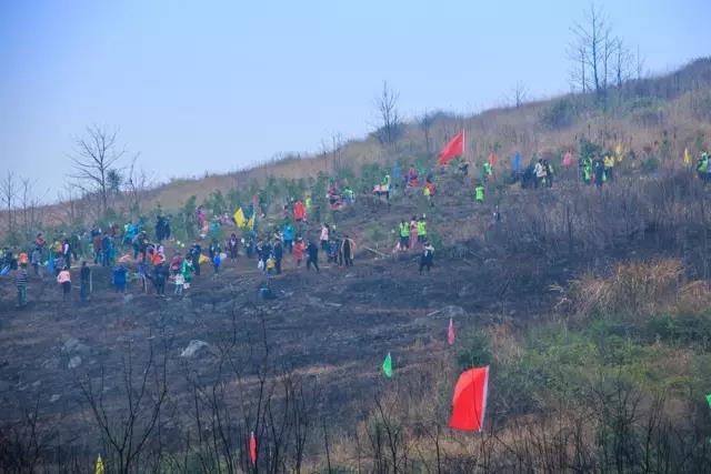 建設(shè)生態(tài)邵陽(yáng)城，天嬌集團(tuán)在行動(dòng)