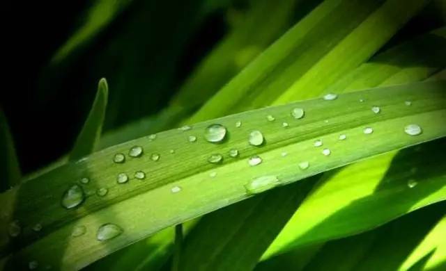 白露丨與CR-V一起，品味秋天的氣息