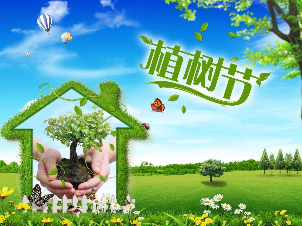 北京現(xiàn)代“智現(xiàn)代，植未來”，你我共建森林邵陽