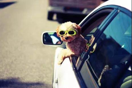 你所不知道的真相，車窗保養(yǎng)有多重要