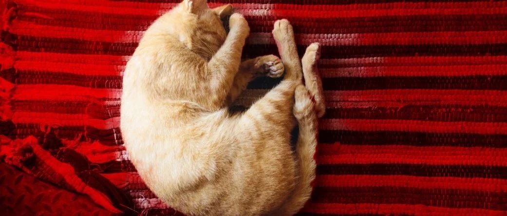 人類發(fā)展的動力，除了懶，還有對舒適的追求