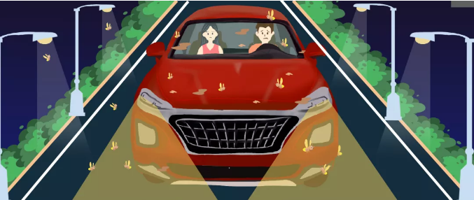 安全清除車身飛蟲，僅需十分鐘