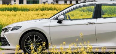 丨廣汽豐田天嬌寶慶店丨全新凱美瑞智能陪伴，將帶你馭見絕美婺源