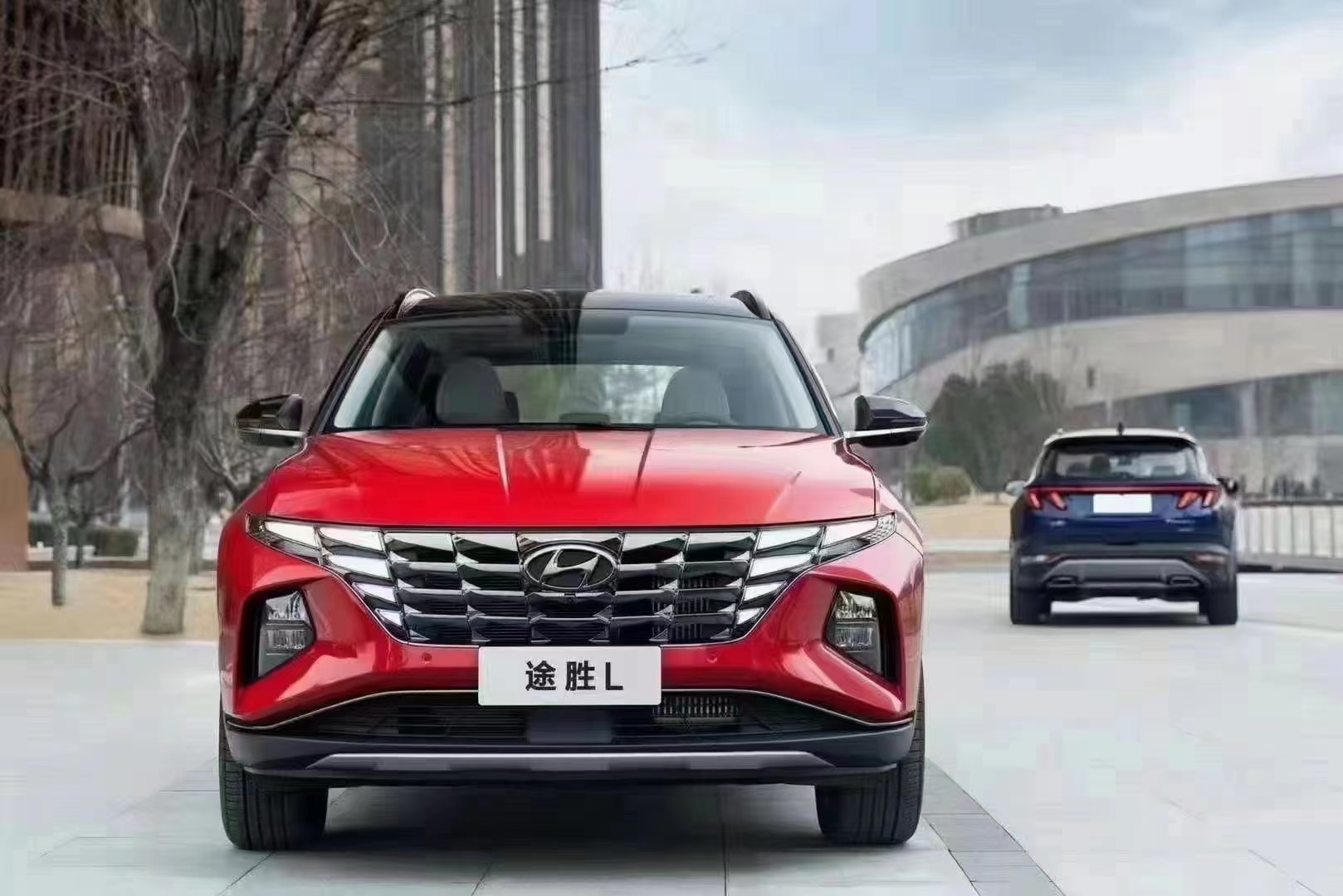 如何呵護家人，看這兒！