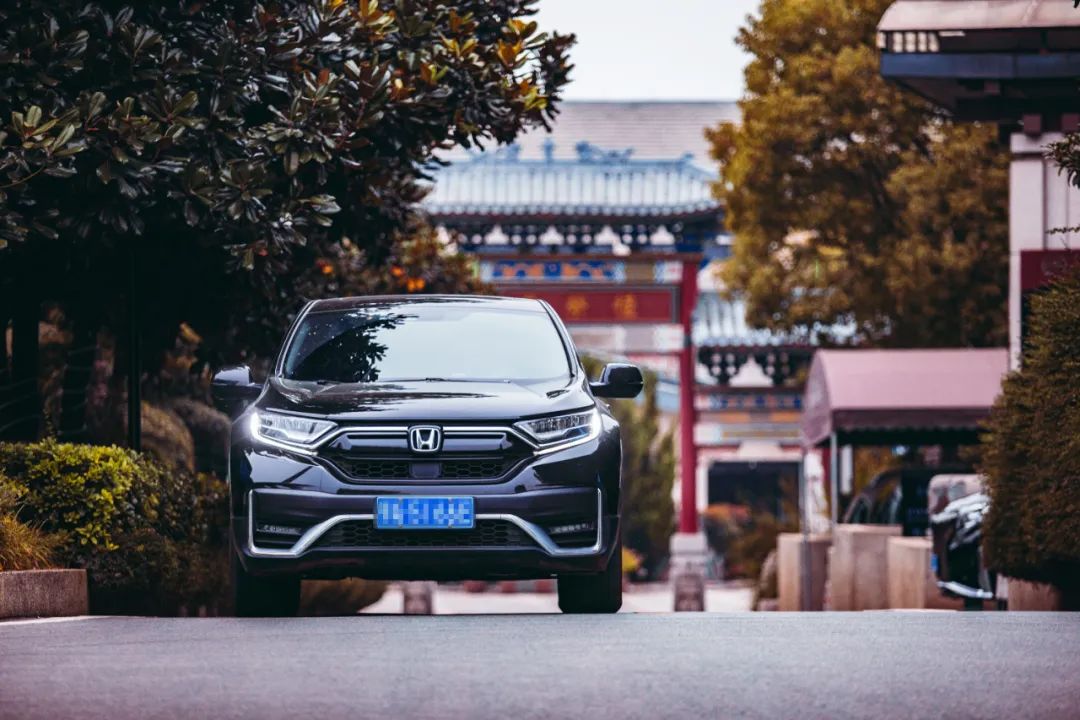 本人有料 | 愿歷經(jīng)千帆，歸來(lái)仍是少年